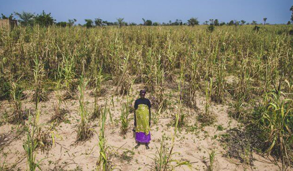 Pioneering drought relief with NASA in Niger