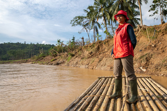 Piva in Indonesia