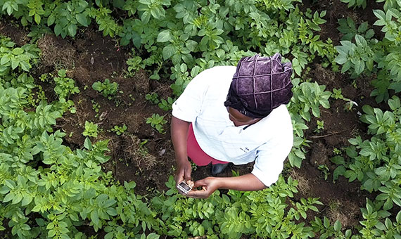 Small farmers, smart tech, and finding solutions in the face of climate change