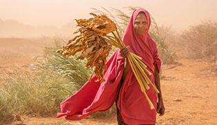 Severe drought in Horn of Africa