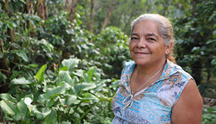 Coffee connection: Farmers ship beans directly to customers