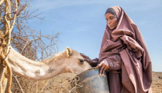 Somalia is on the brink of famine