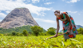 Reclaiming her family’s land