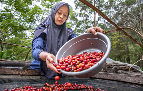 Meet Endah from Indonesia