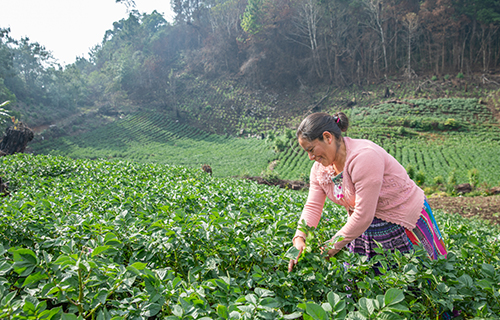 Sign our pledge to support climate-resilient communities