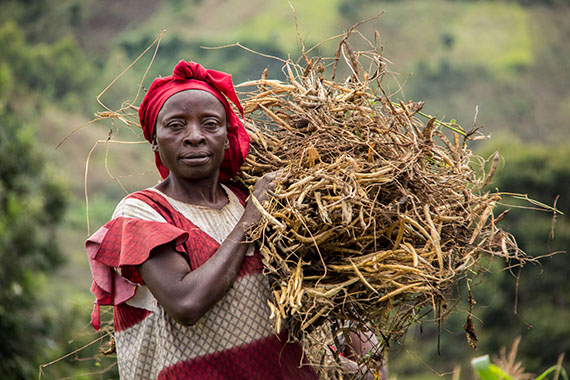 Democratic Republic of Congo