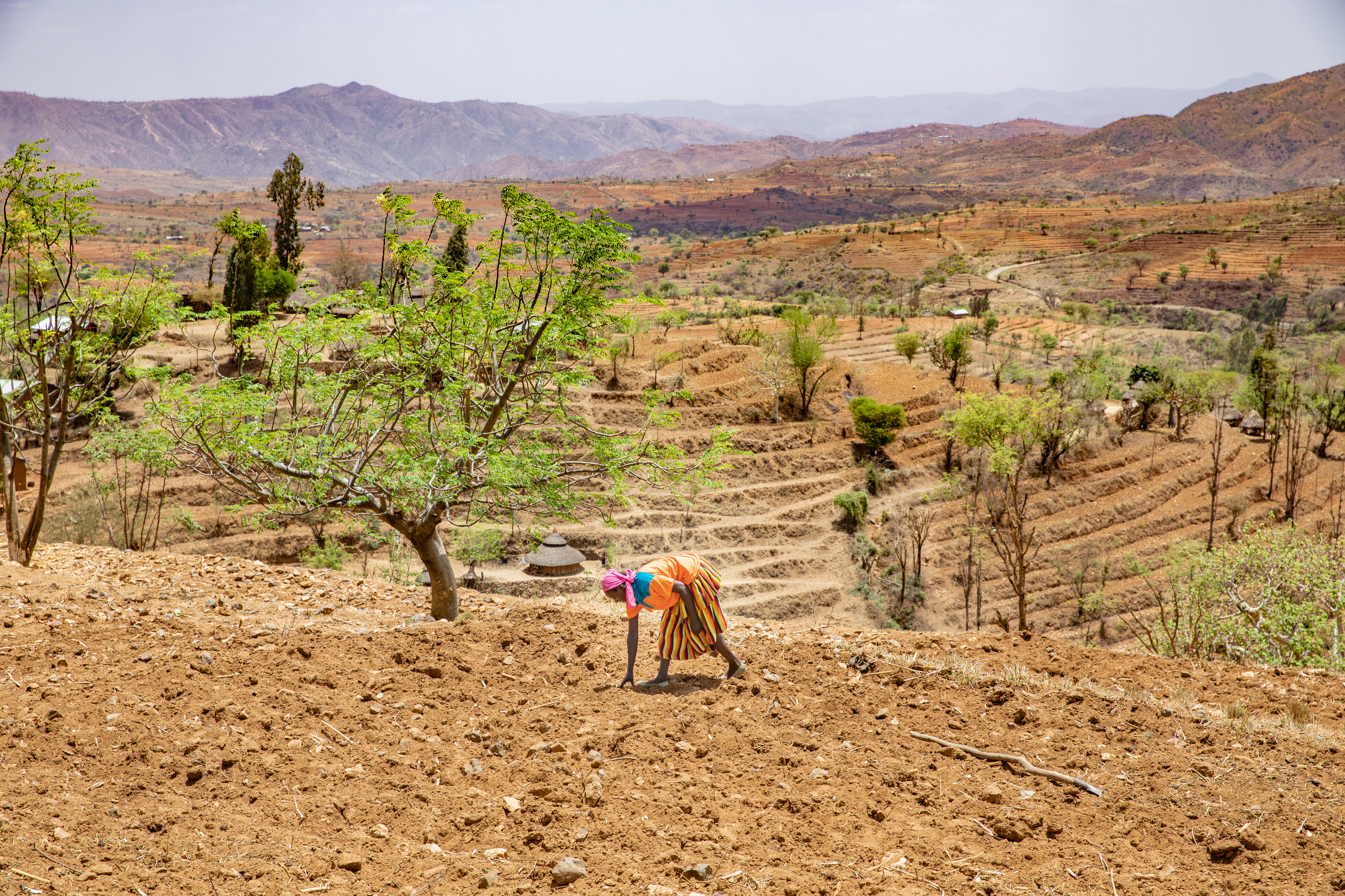 farmer in Ethiopia working on her crops