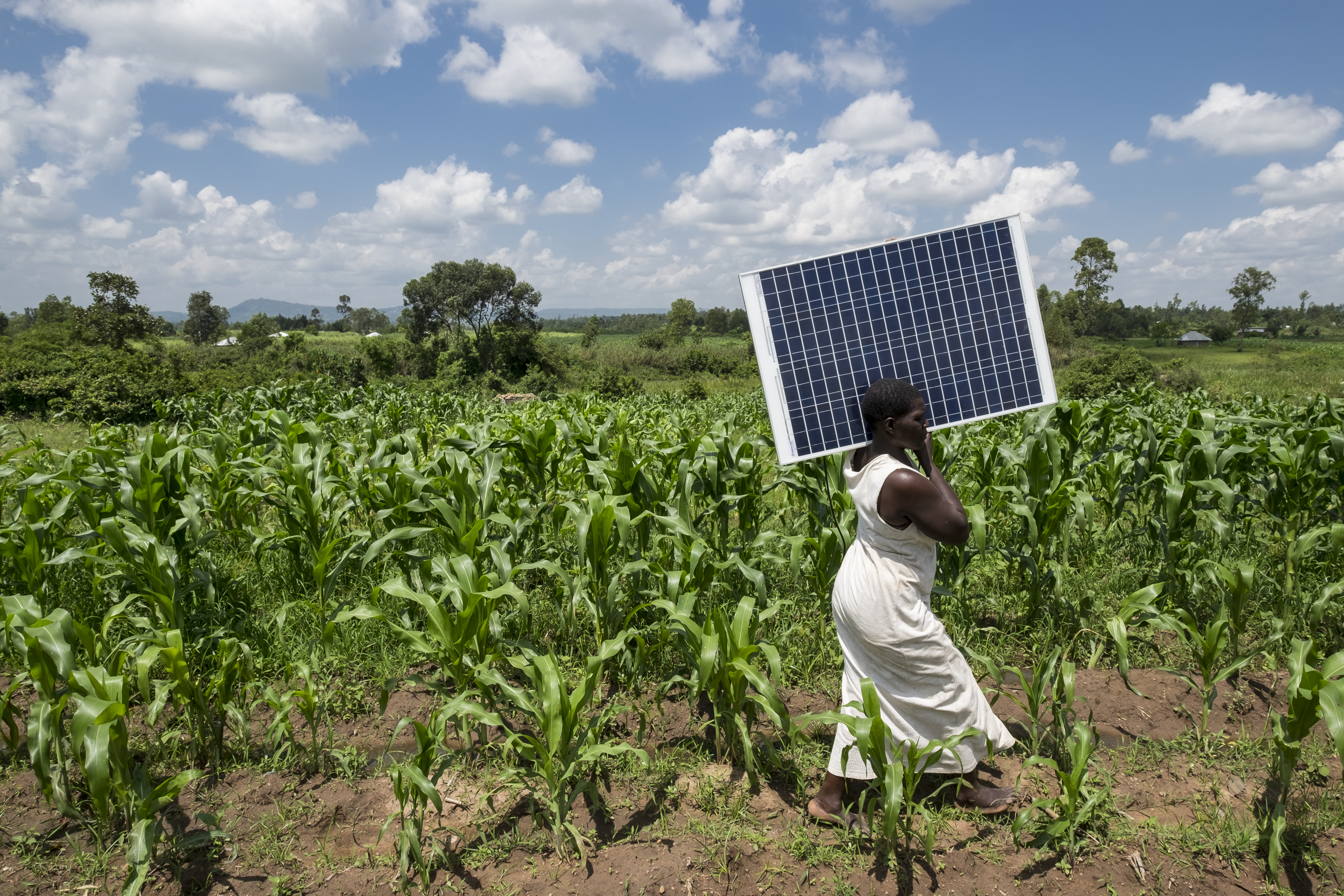 A person walks along a field with a solar panel on their shoulder.