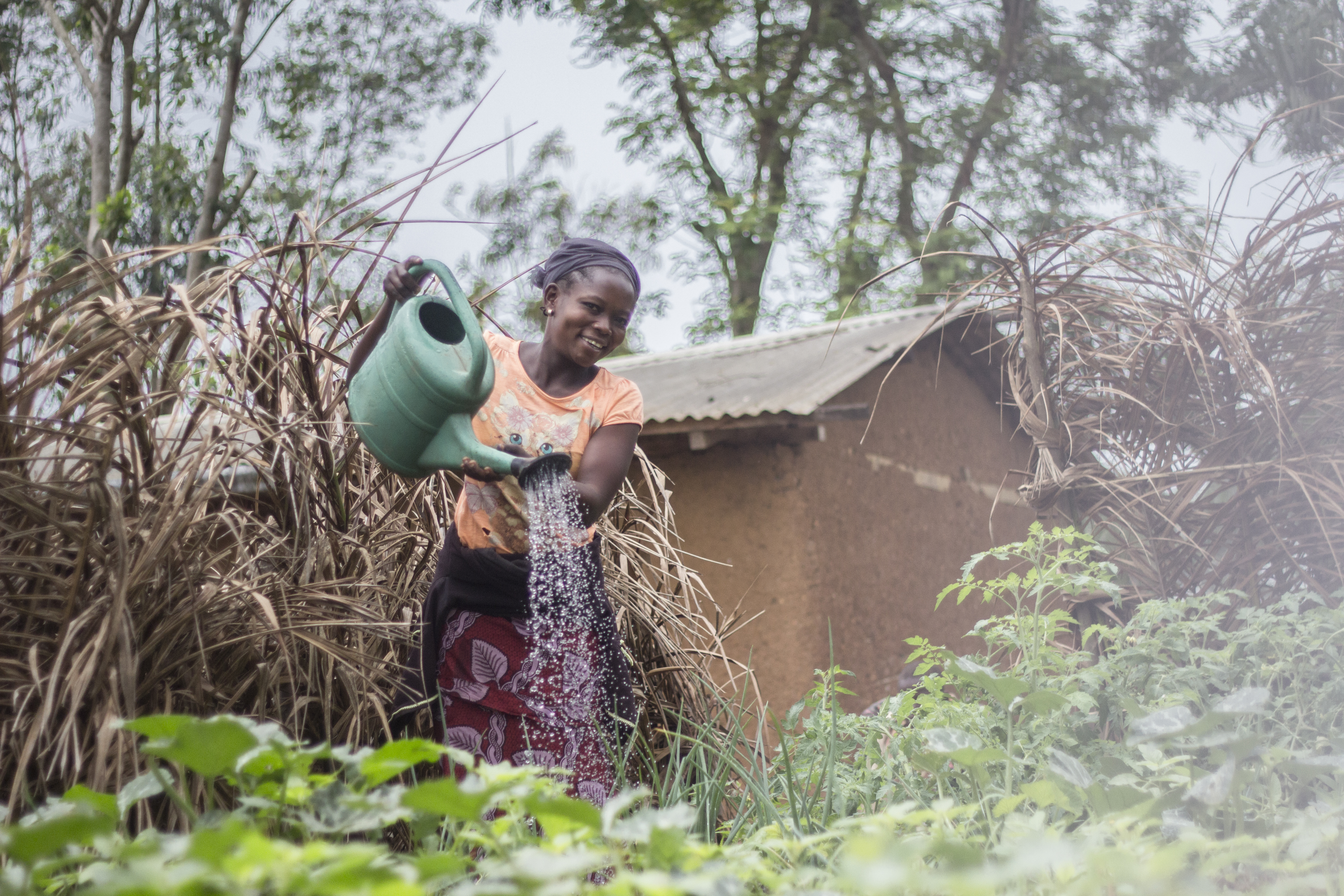 A person watering plants.