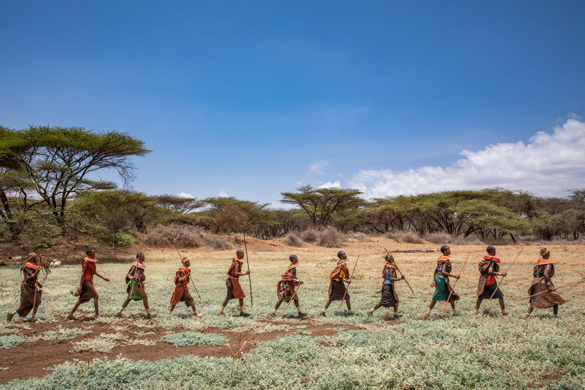 Women from six villages around Ngilai, Kenya gather for a daily ceremony asking the gods to provide rain.