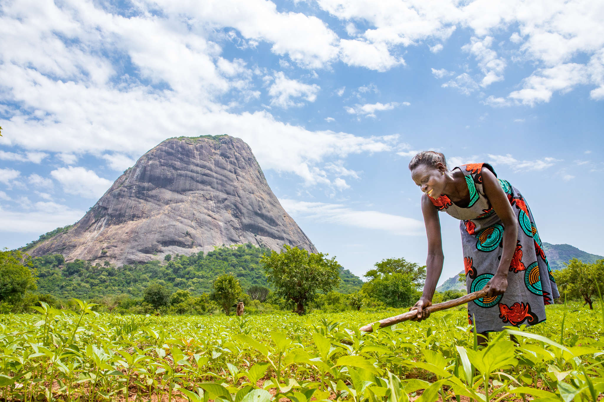 A person weeds crops on their land in Uganda.