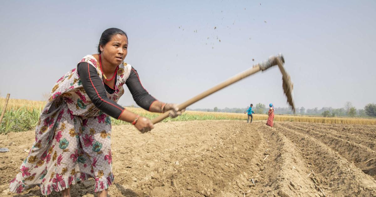 Climate change exacerbates food crisis in Nepal's poorest region