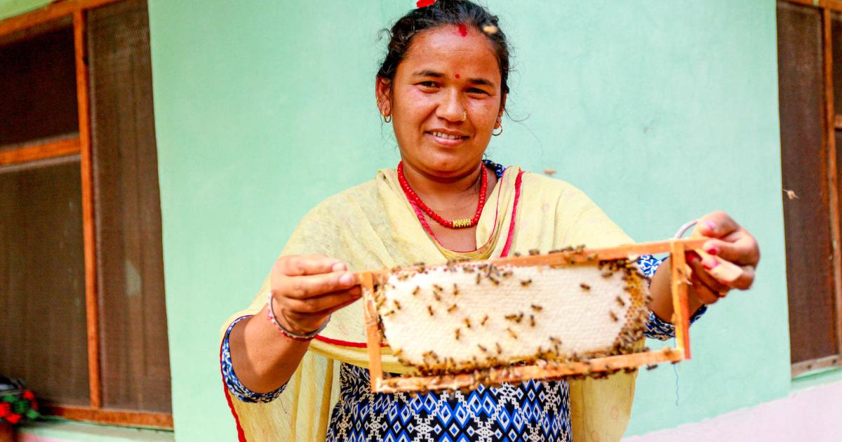 Sweet success: Jordan's beekeepers busy as honey demand soars