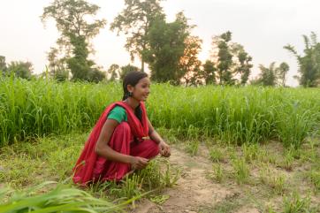 Sarmila in a green rice paddy