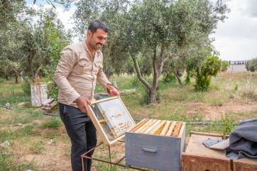 A person tending to bees.