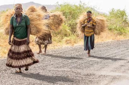 A group of people walking down a road with their harvest.