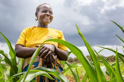 A farmer stands among their crops.