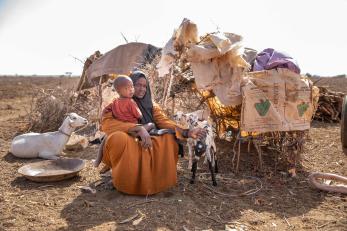 Woman and son sit among perished crops.