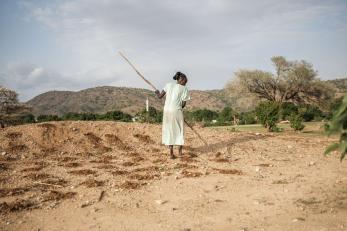 A woman plants sorghum in sudan