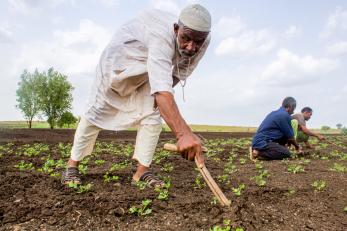 A man plows a farm field in sudan