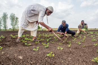 Farmers tilling a field.