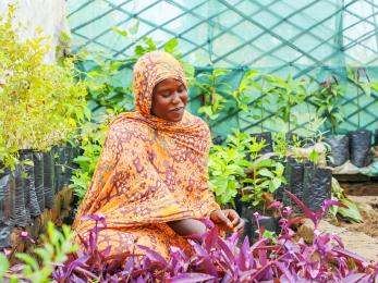 A person tending to plants.