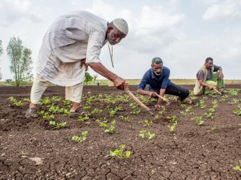 Farmers tilling a field.